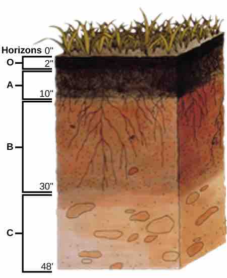 Soil profile