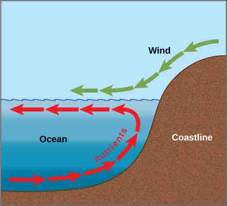 Upwelling