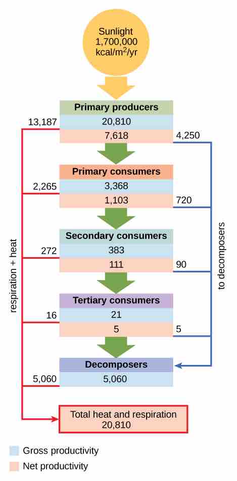 Conceptual model of energy