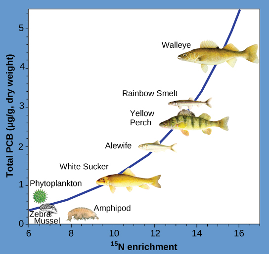 PCB concentration in Lake Huron