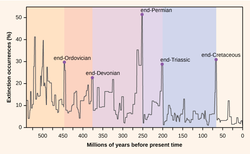 Fossil record