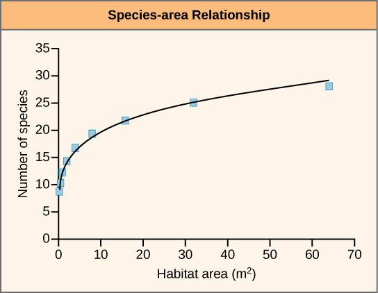 Species-area extinction estimates