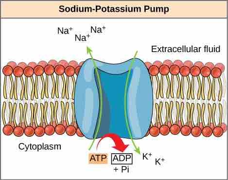 Energy Coupling