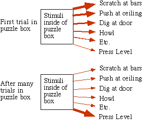 Law of effect