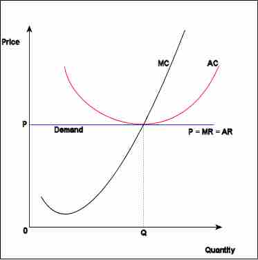 Perfect Competition Economics