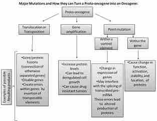 Proto-oncogene Conversion to Oncogene