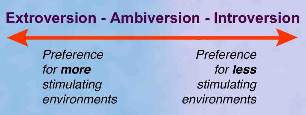 Extraversion–Introversion