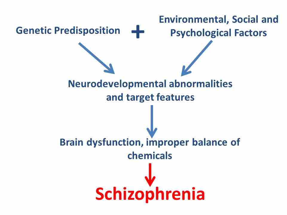 Causes of schizophrenia