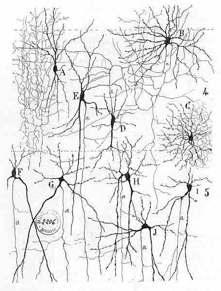 Neural networks