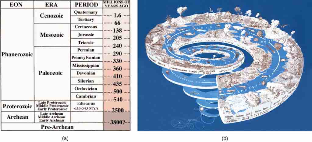 Earth's history