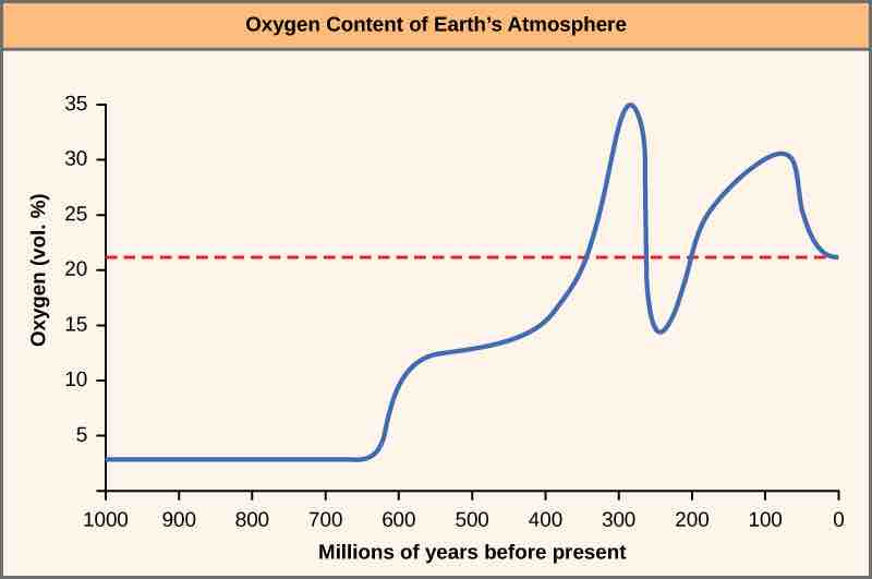 Earth's oxygen concentration