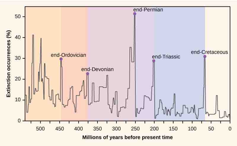 Mass extinctions