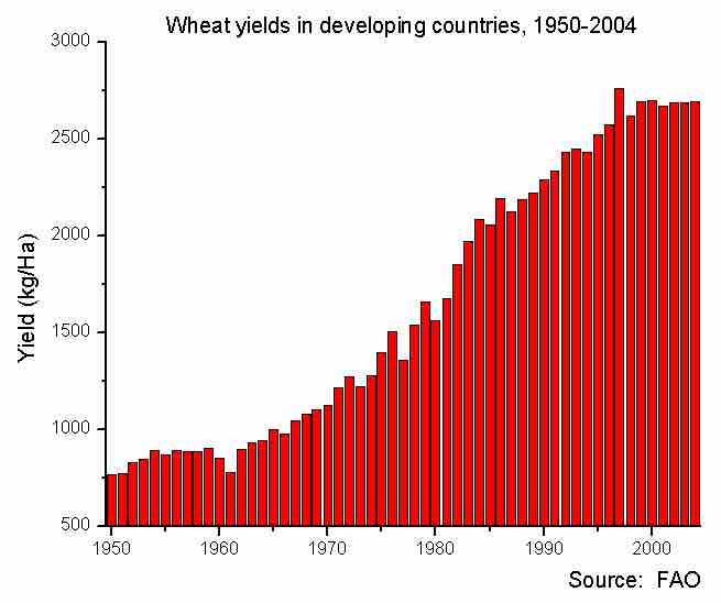 Wheat Yield