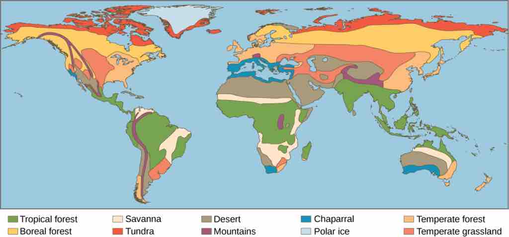 Terrestrial biomes