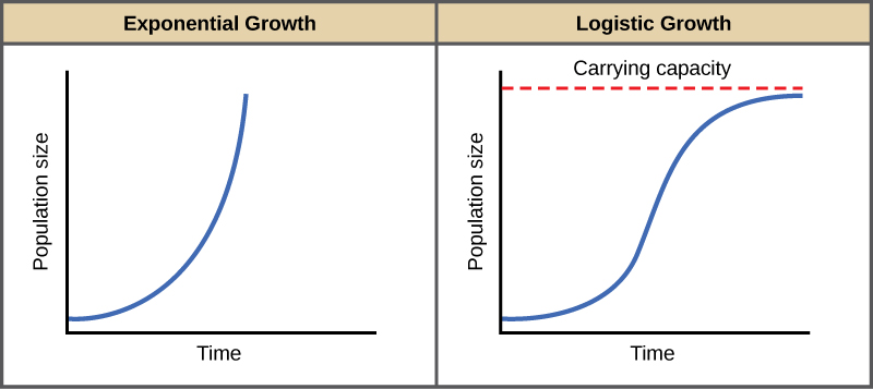 Exponential and logistical population growth