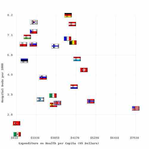 Capital Costs and Hospital Beds