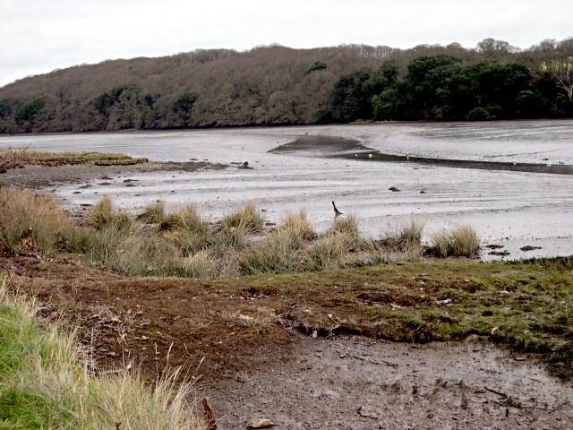 Low tide