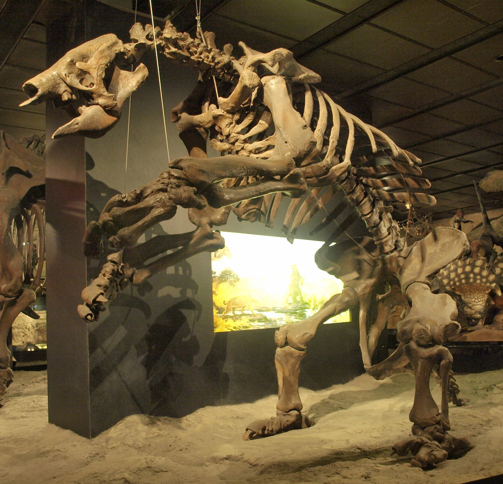 Giant ground sloth