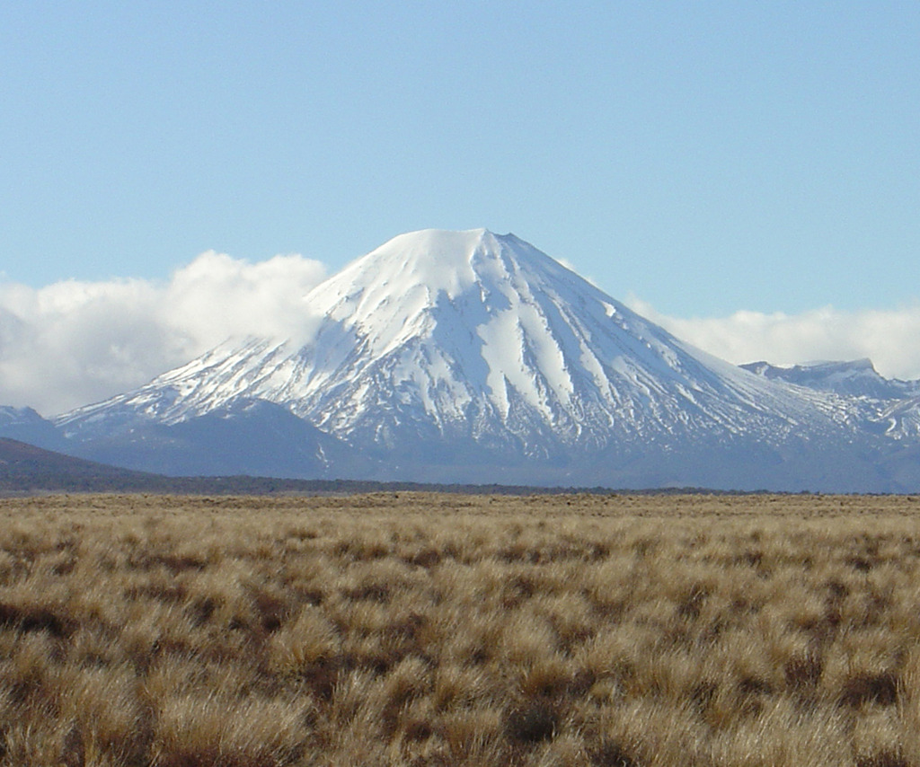 Temperate grasslands in New Zealand