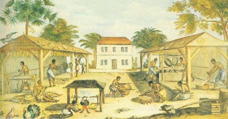 Slaves cultivating tobacco