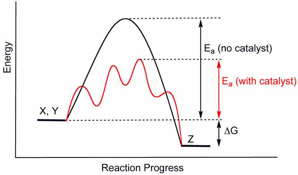 Catalysis