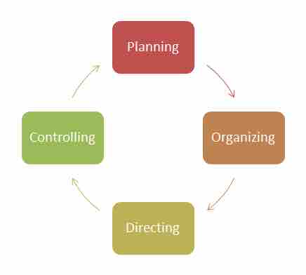 The management process