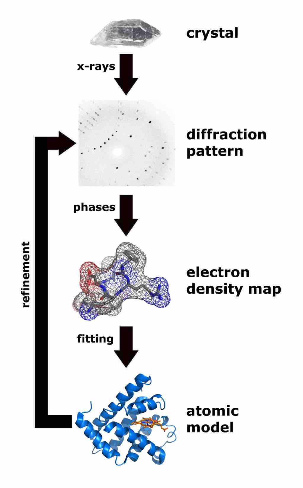 Workflow for Solving a Molecular Structure Using X-ray Crystallography