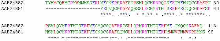 Example of Homologous DNA