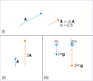 Scalar Multiplication