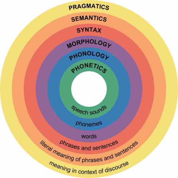 Major levels of linguistics