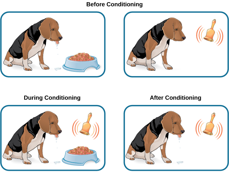 Classical conditioning