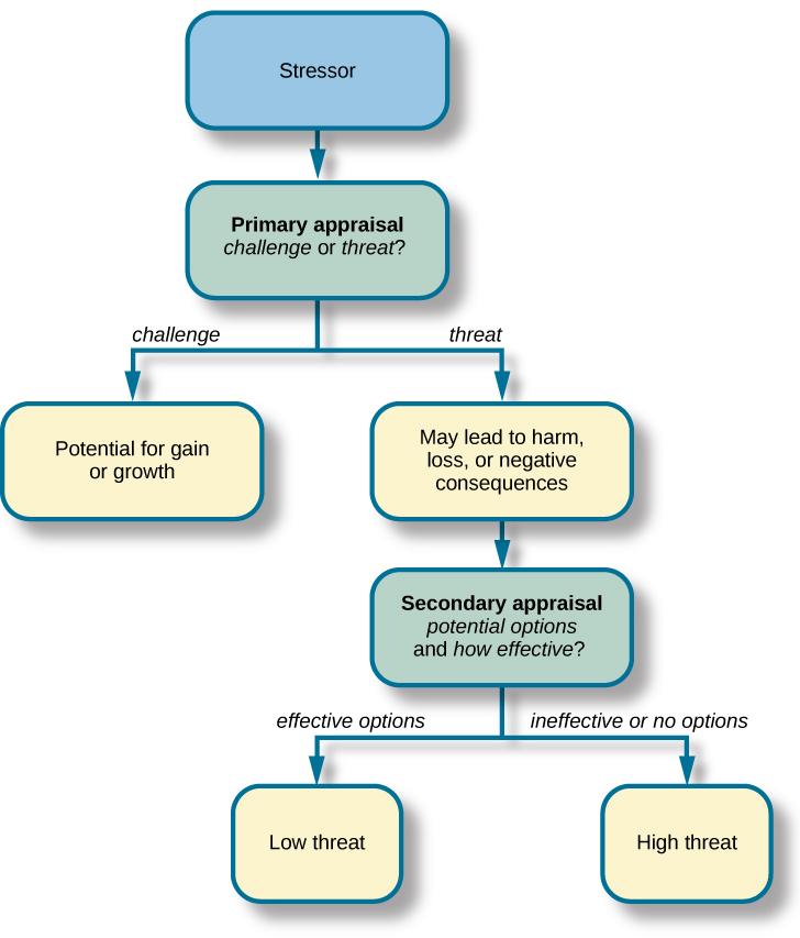 Lazarus: Primary and secondary appraisal