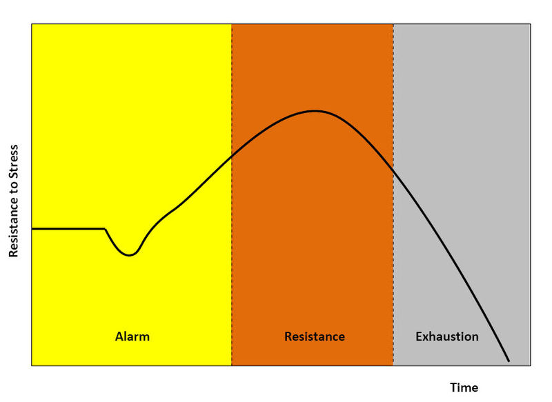 Habituation to stress