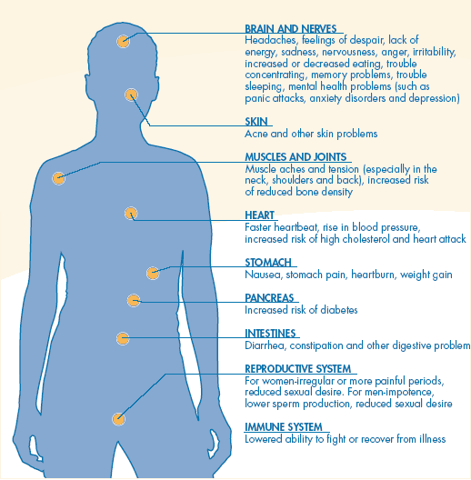 Stress and the body