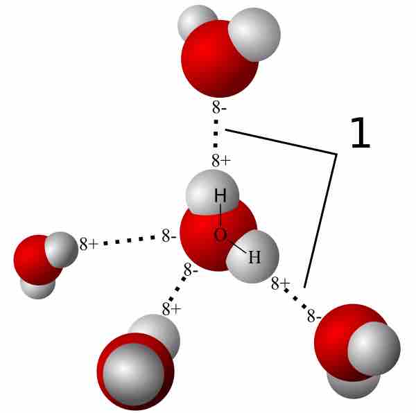 Hydrogen bonds between water molecules