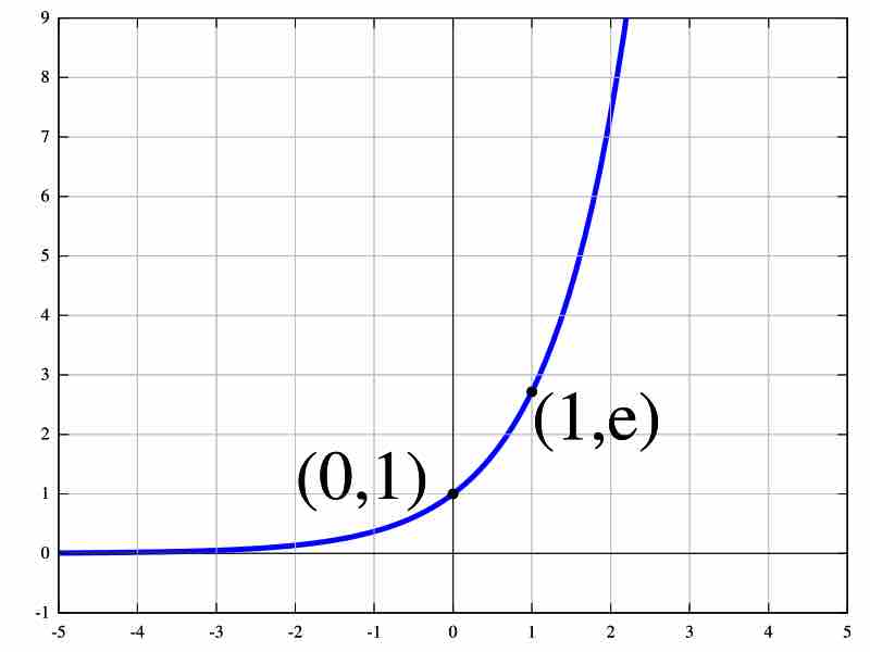 Exponential Function