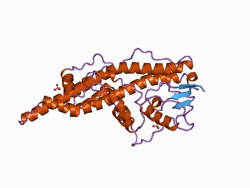Herpes simplex virus