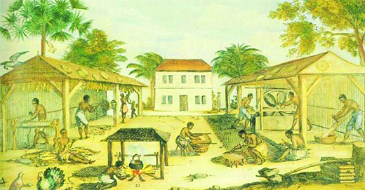 Slaves in the tobacco colonies