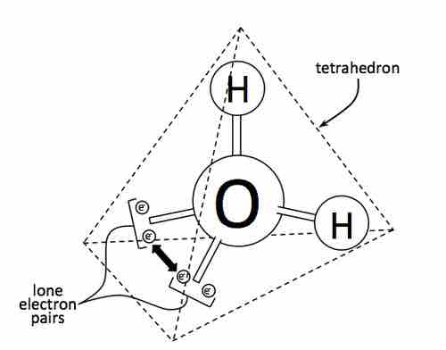 The effect of the lone pair on water