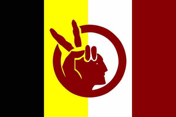 Flag of the American Indian Movement.