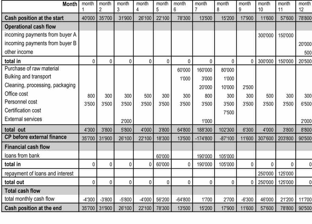 Simple Direct Cash Flow Statement