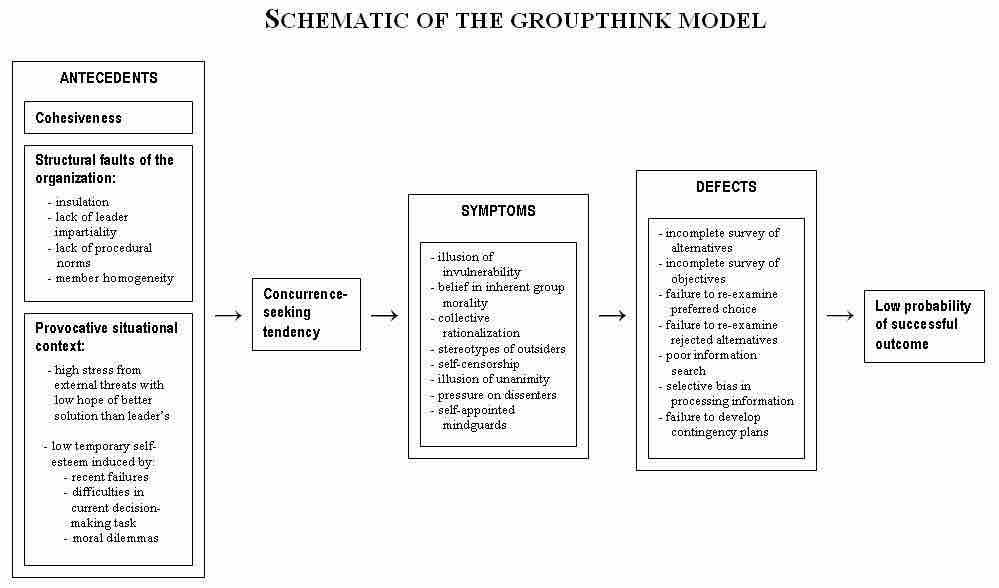 Schematic of the Groupthink Model