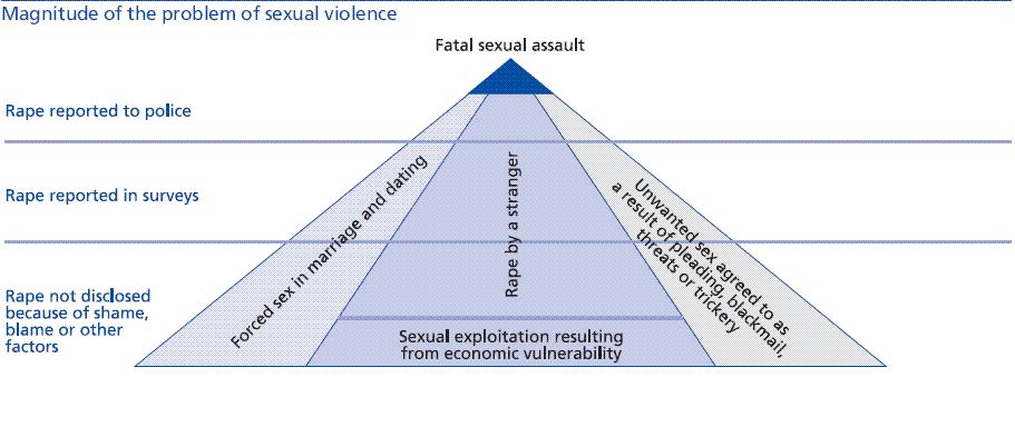 Sexual Violence Reporting