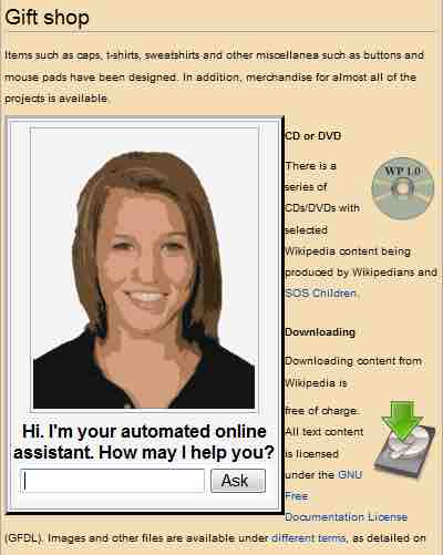 Automated online assistant