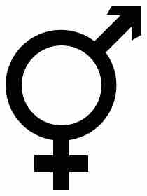 Transgender Symbol