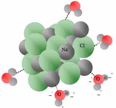 Dissolution of NaCl in water