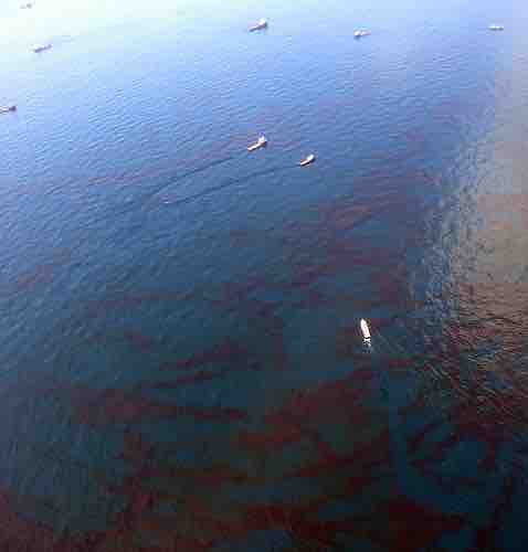 The Deepwater Horizon Oil Spill