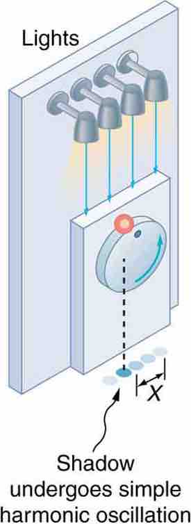 Shadow of a Ball Undergoing Simple Harmonic Motion