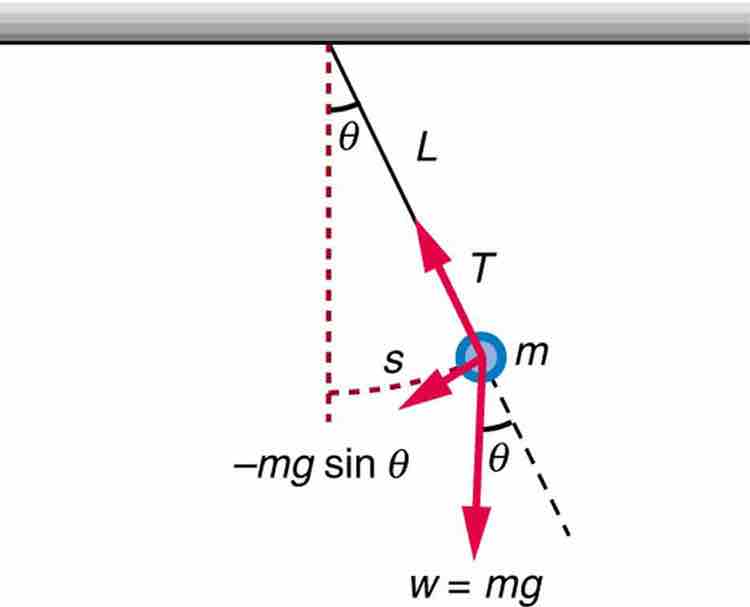 Simple Pendulum