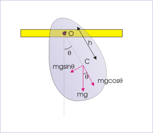 A Physical Pendulum